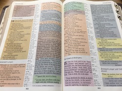 Rainbow Bible NIV version